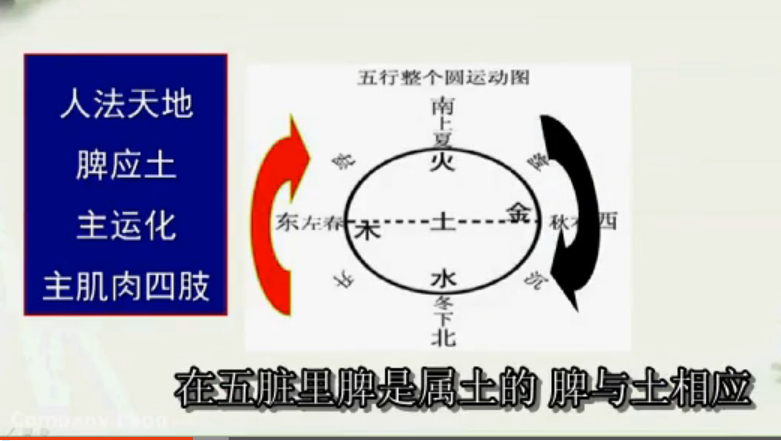 辨體質(zhì)話食療04 土形之人話食療